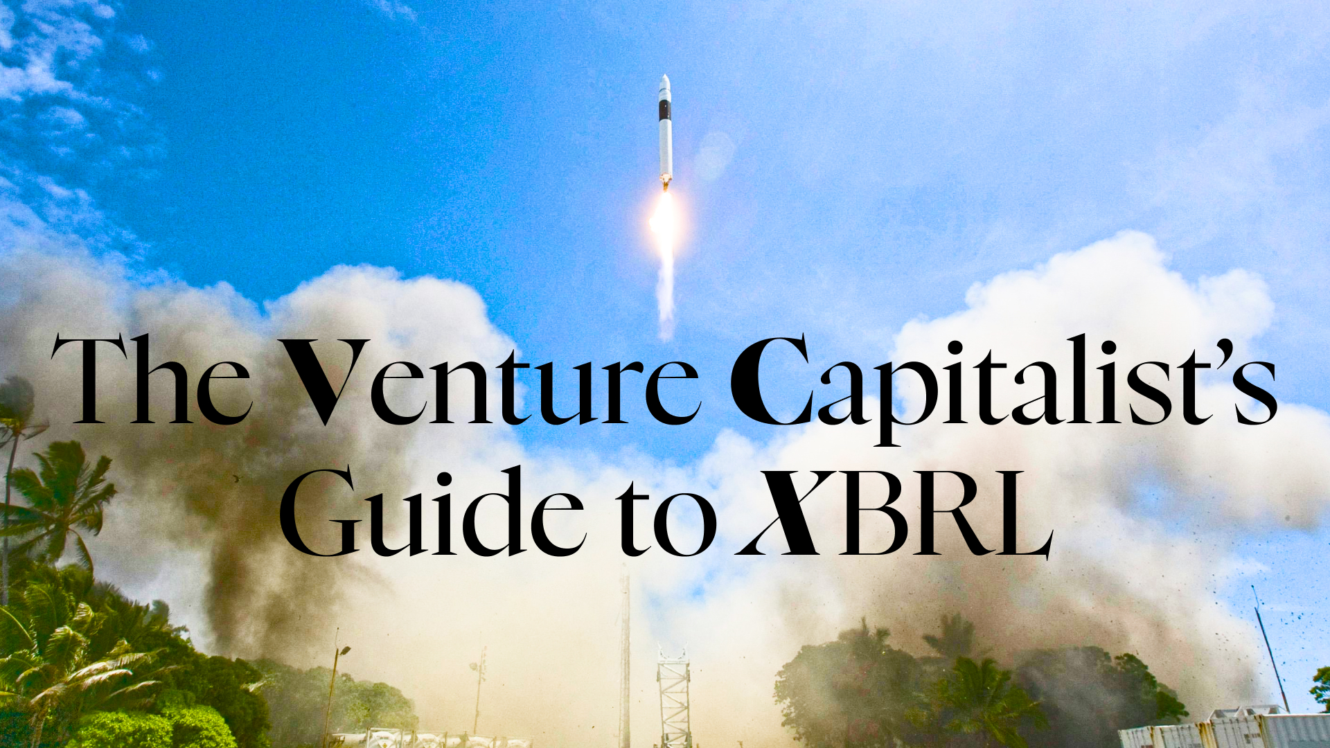 Venture Capitalist Guide to XBRL