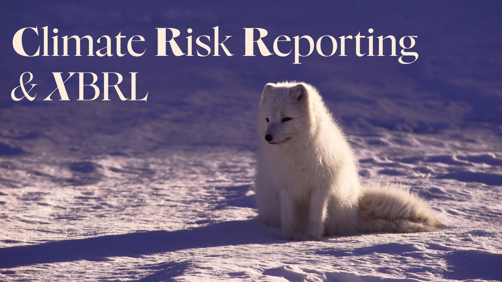 XBRL and Climate Risk Reporting