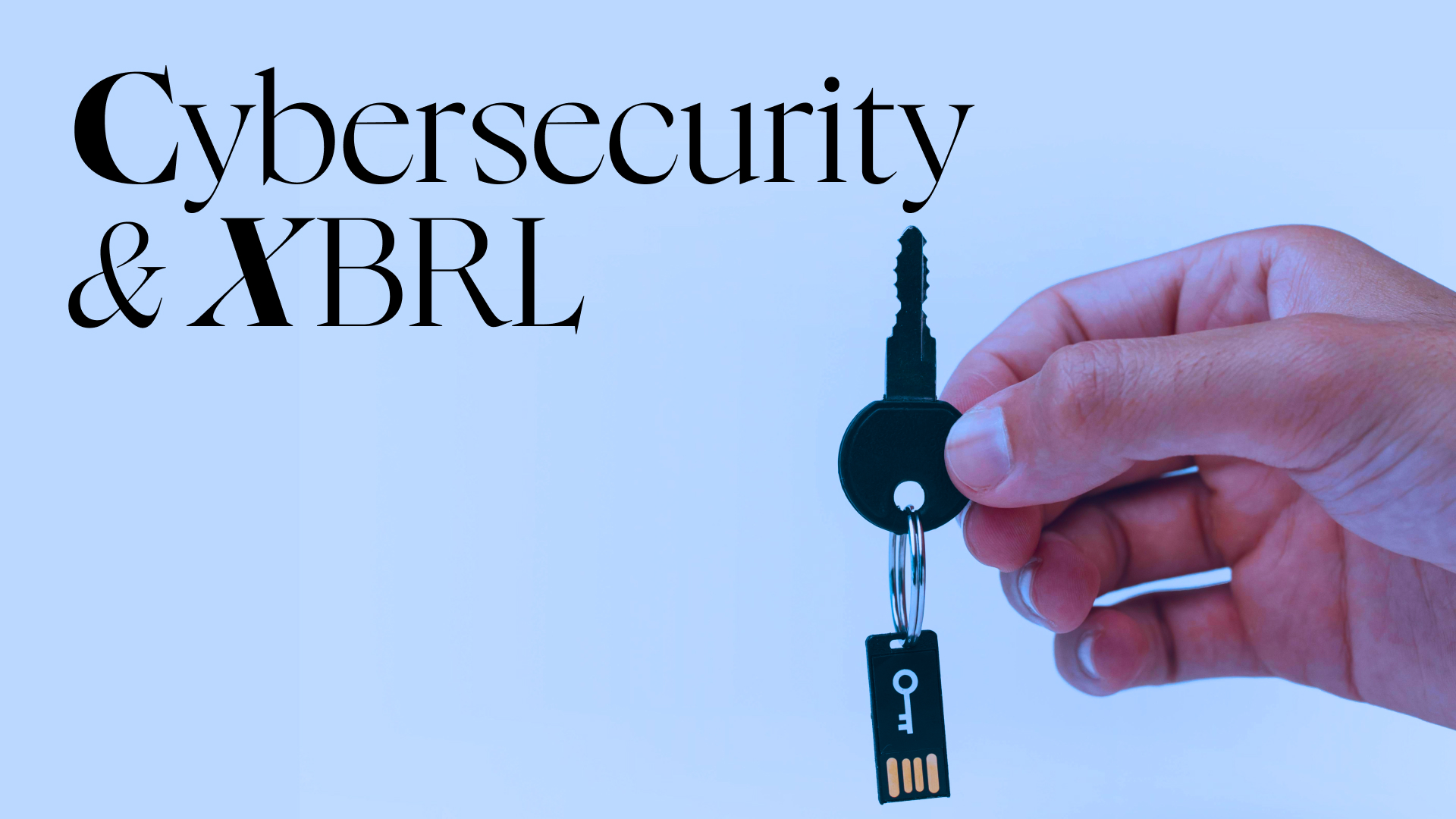 XBRL Cybersecurity Framework illustration